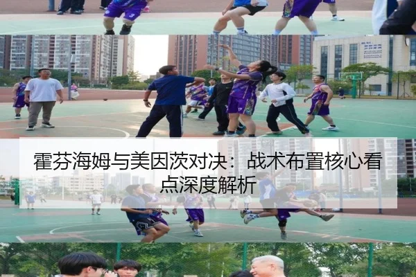 霍芬海姆与美因茨对决：战术布置核心看点深度解析